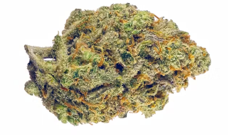 10 Best Sativa Strains 2025 Has To Offer