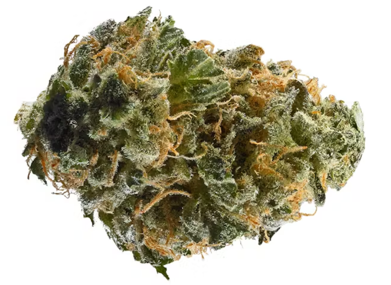10 Best Sativa Strains 2025 Has To Offer