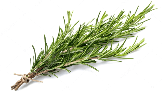 What Is Borneol? Benefits From The Chinese Medicine