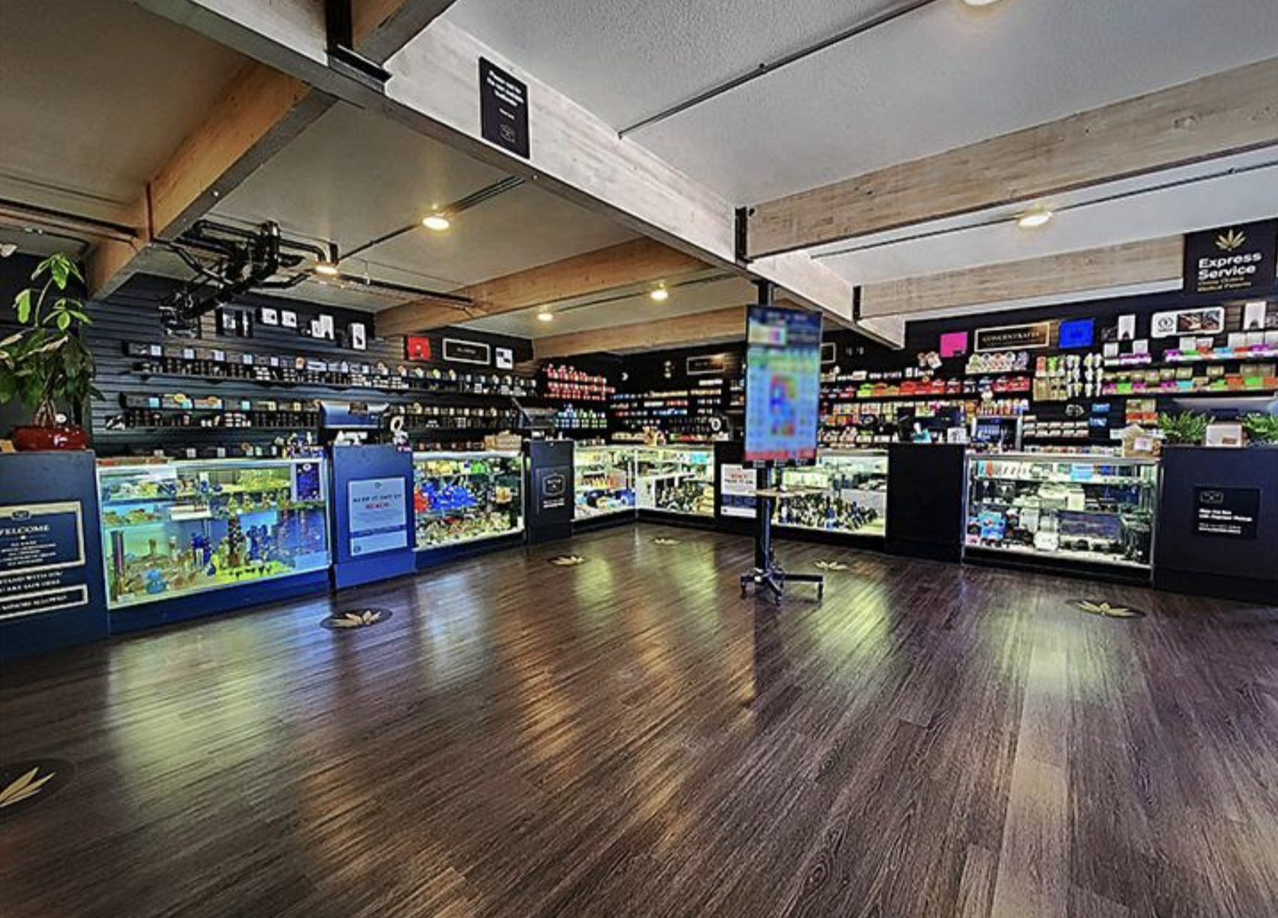 The Best Dispensaries In Eugene, OR