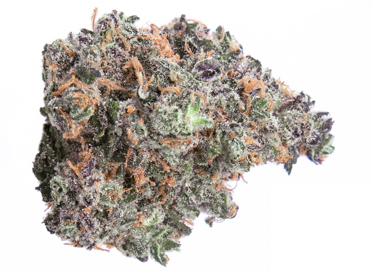 10 Best Sativa Strains 2025 Has To Offer