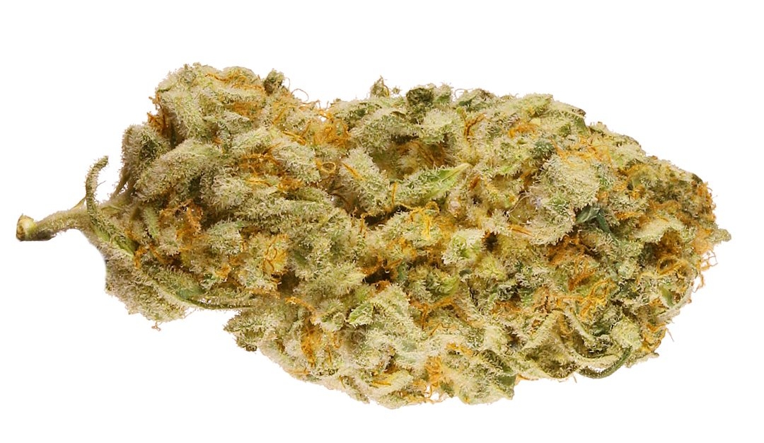 10 Best Sativa Strains 2025 Has To Offer