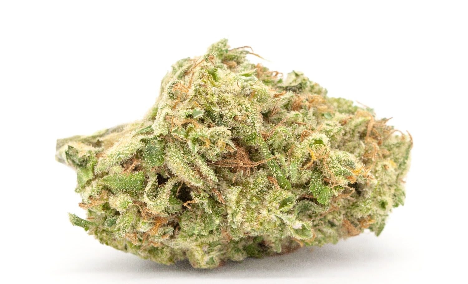 10 Best Sativa Strains 2025 Has To Offer