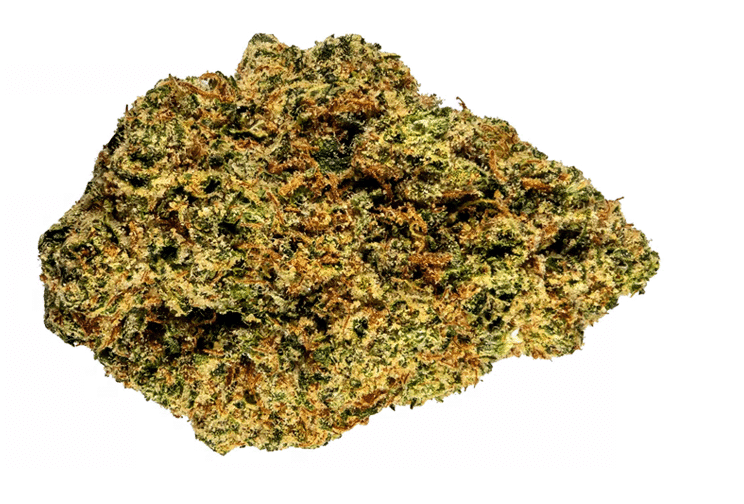 10 Best Sativa Strains 2025 Has To Offer