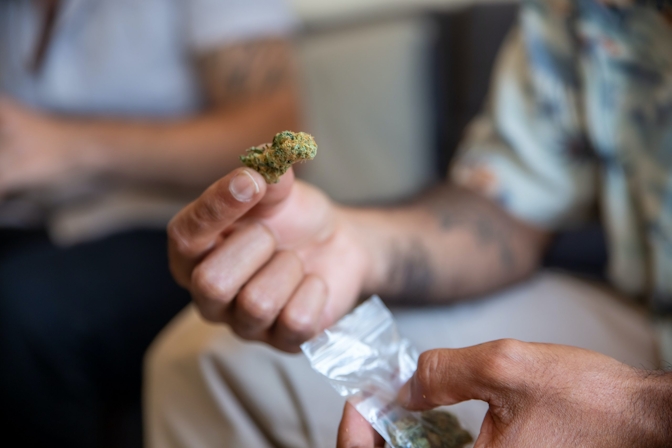 El Planteo: The Latinx Cannabis & Psychedelics Community Spurring Positive Change