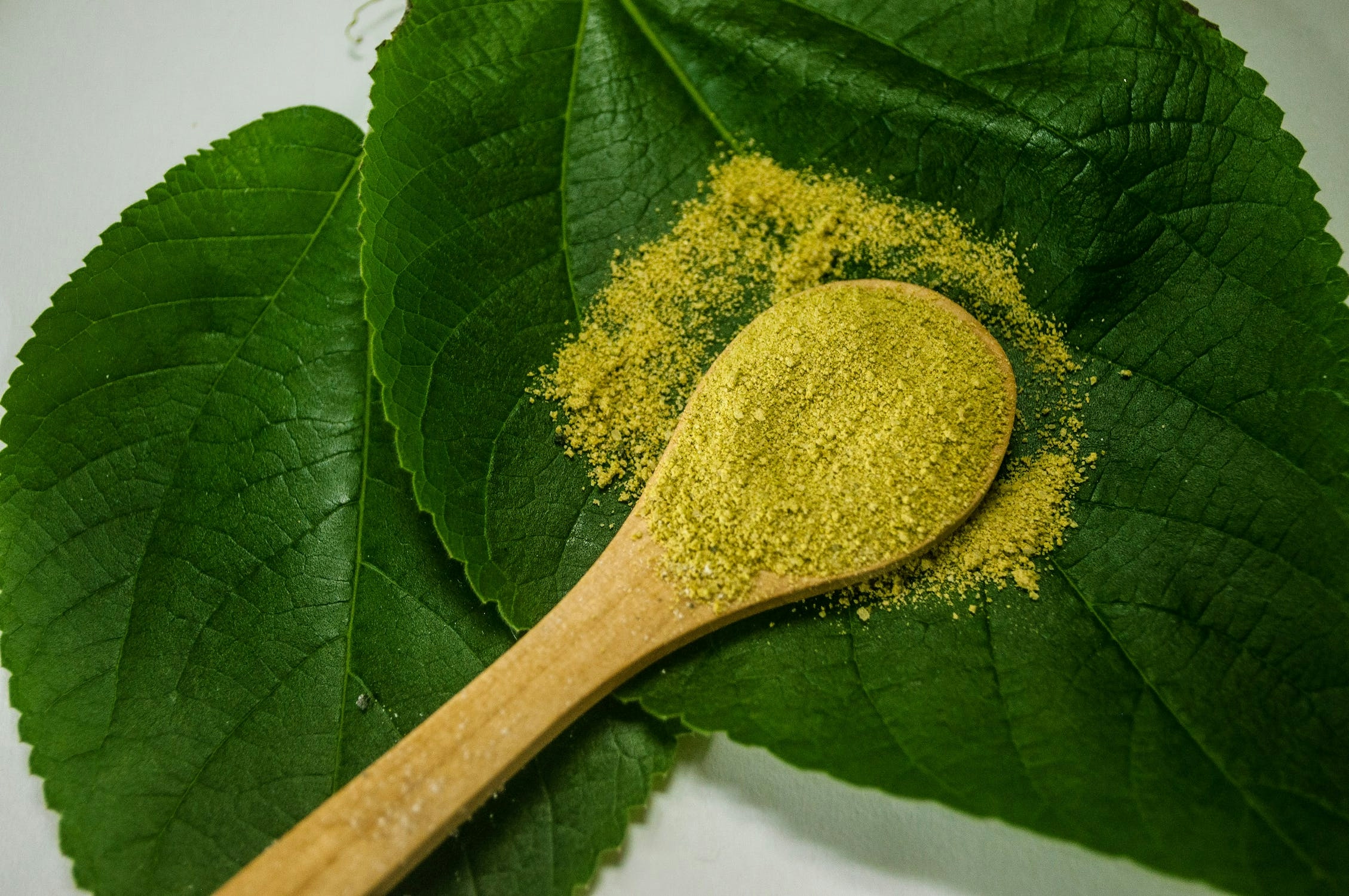 Decoding Kratom Legality: A State By State Guide