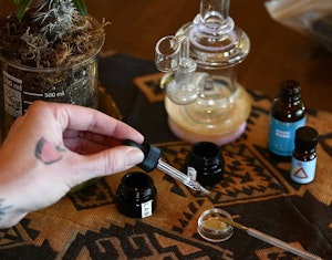 What Are Live Resin Terpenes?