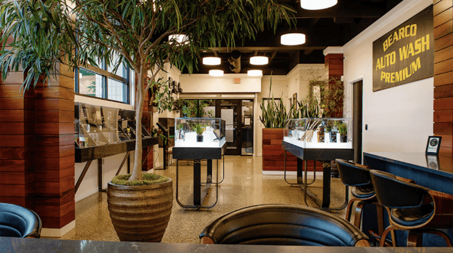 Best Dispensaries In Fennville, MI