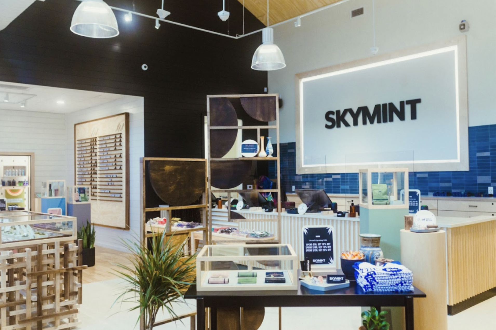 Best Dispensaries In Portage, MI