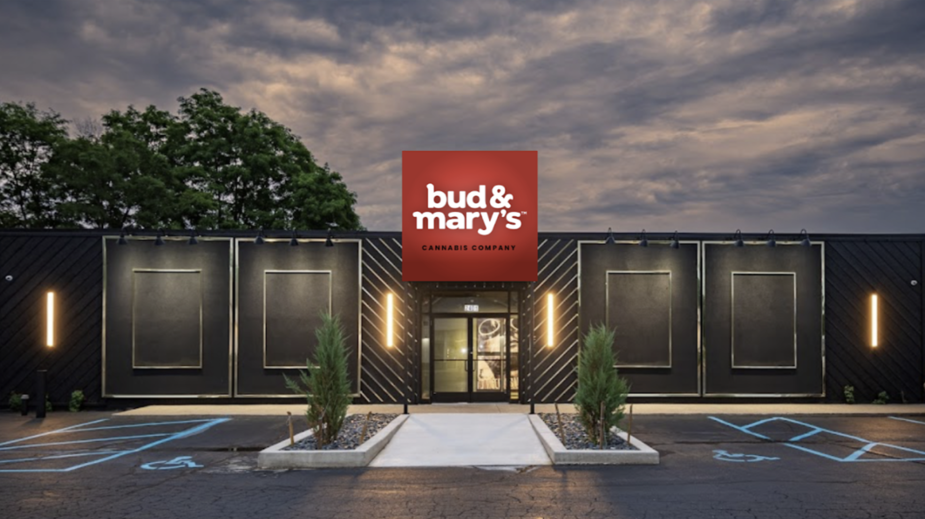 Best Dispensaries In Portage, MI