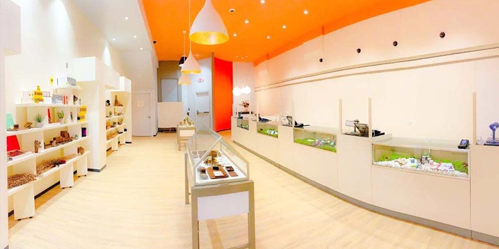 The Best Dispensaries In Sheffield, Massachusetts