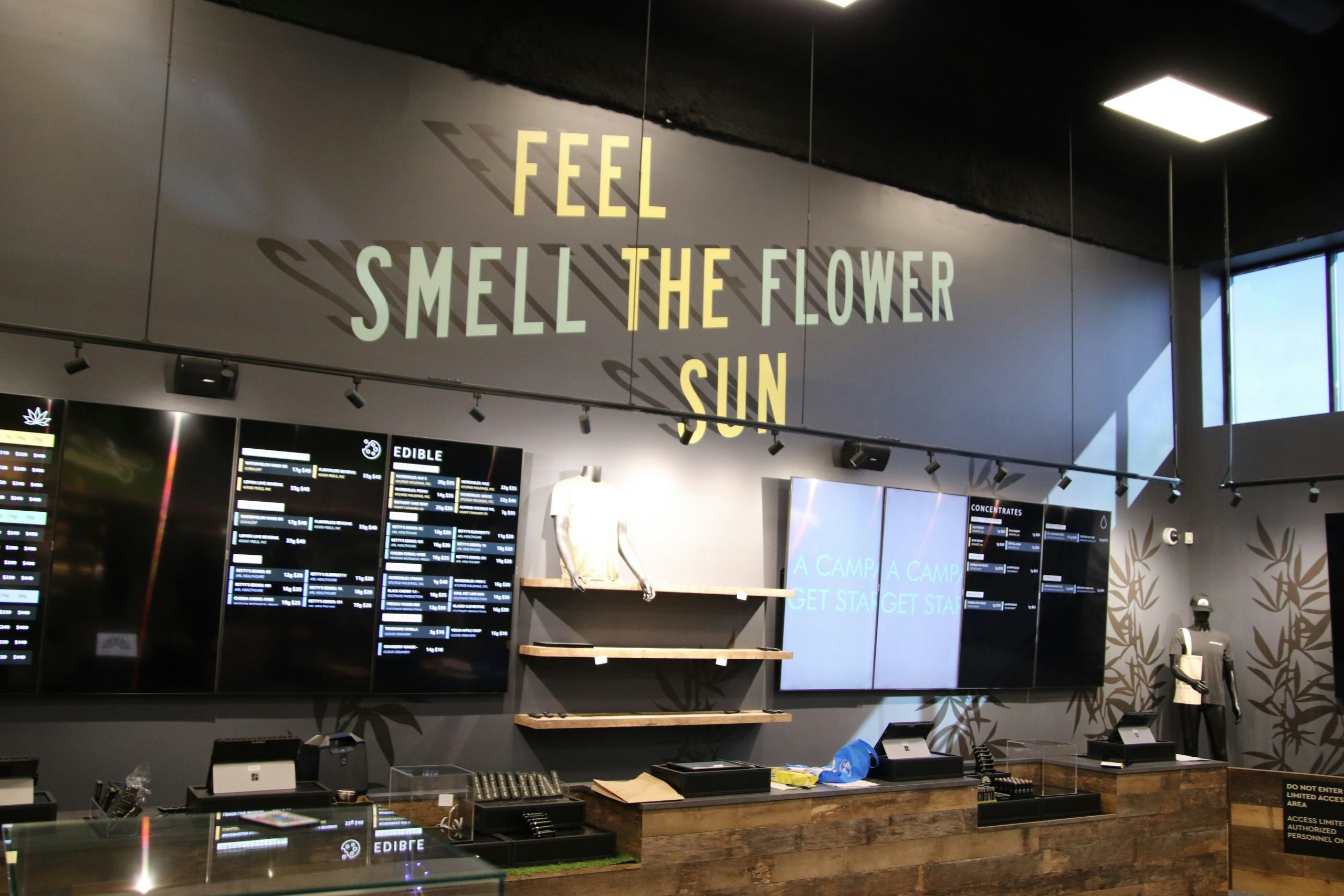 4 Best Dispensaries In Attleboro, MA