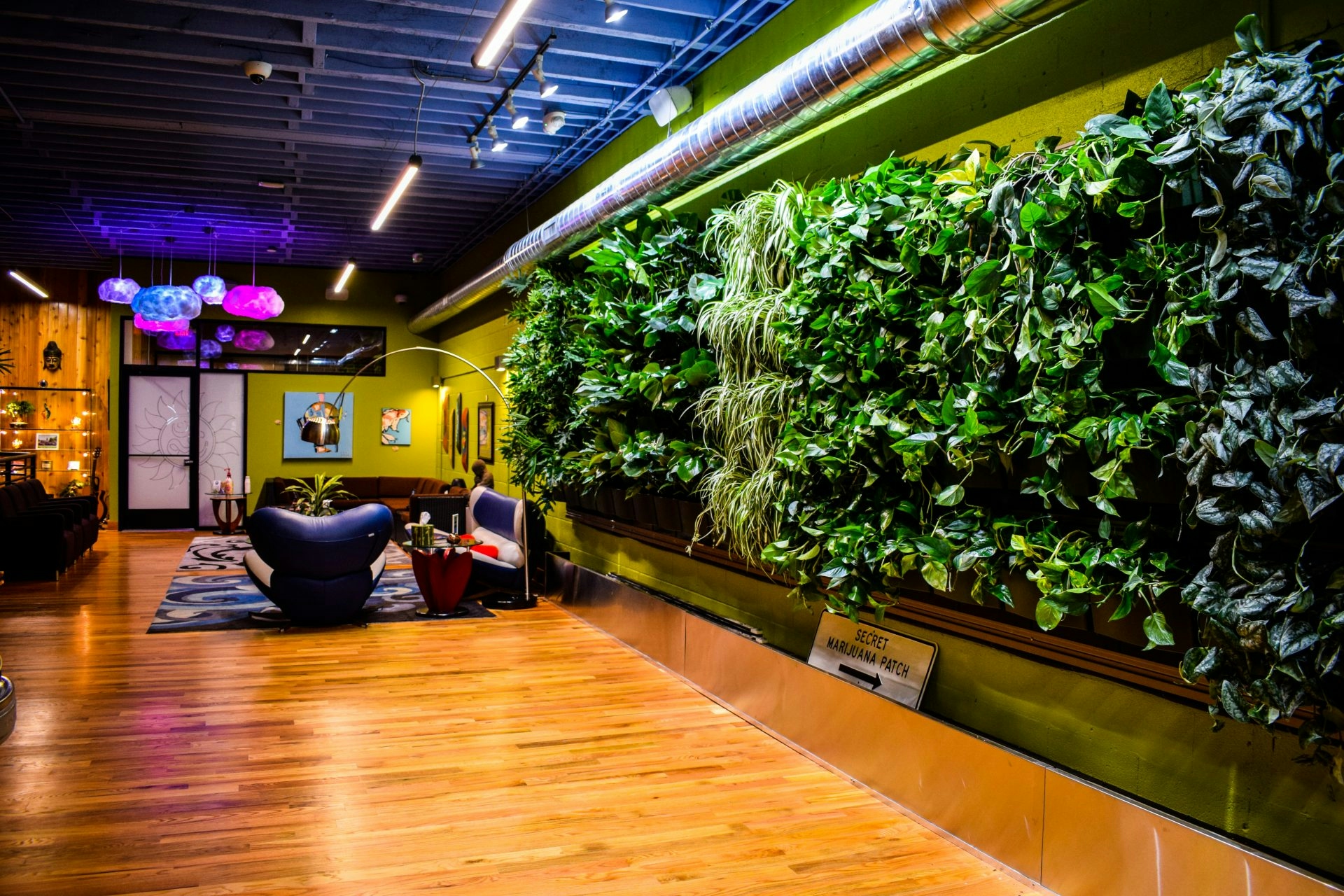 The Best Dispensaries In Ann Arbor, MI