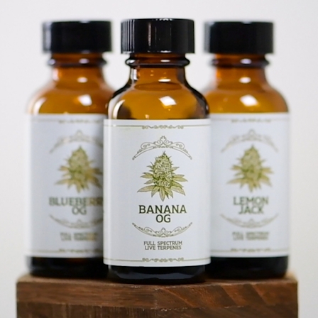 The Science Behind The Gassy Aroma Of Cannabis Strains