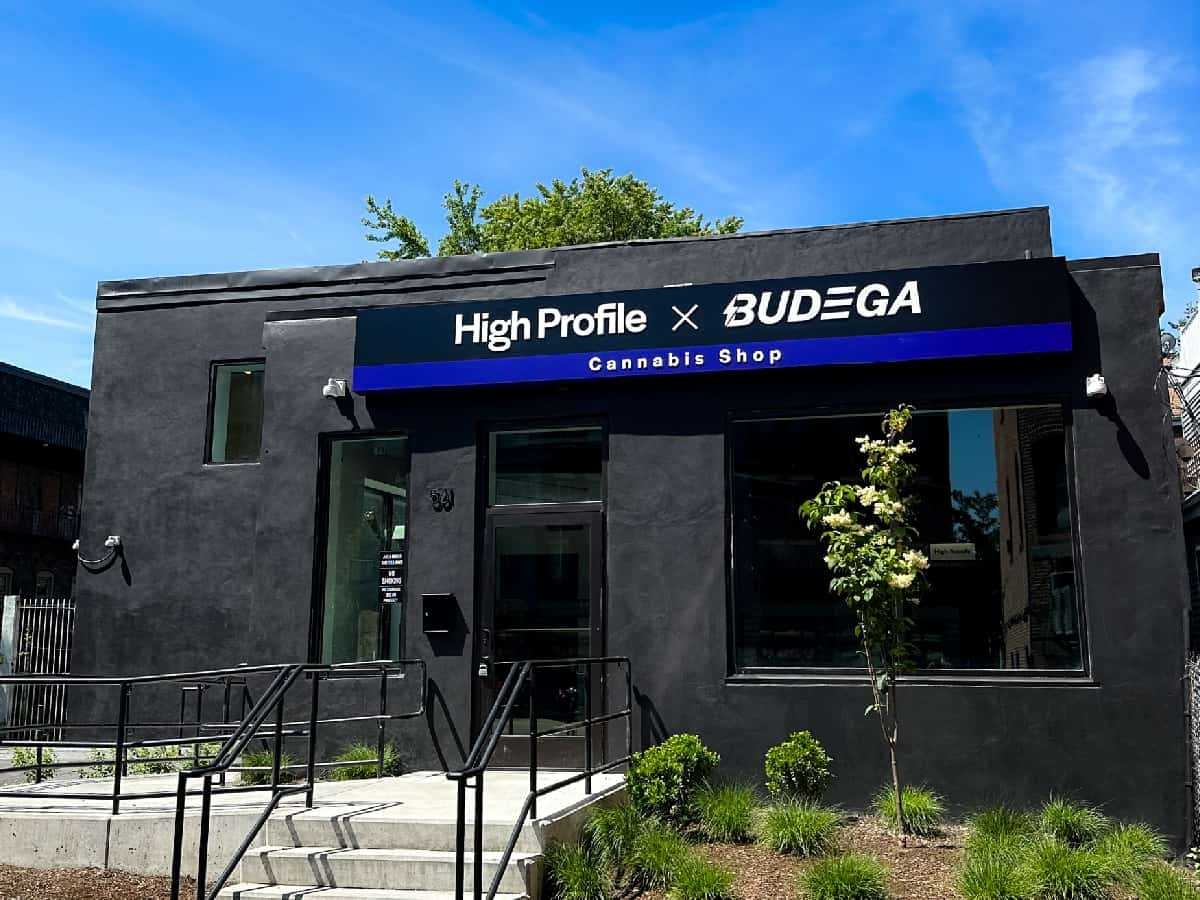 Boston’s Best Cannabis Haven: High Profile X Budega Dispensaries