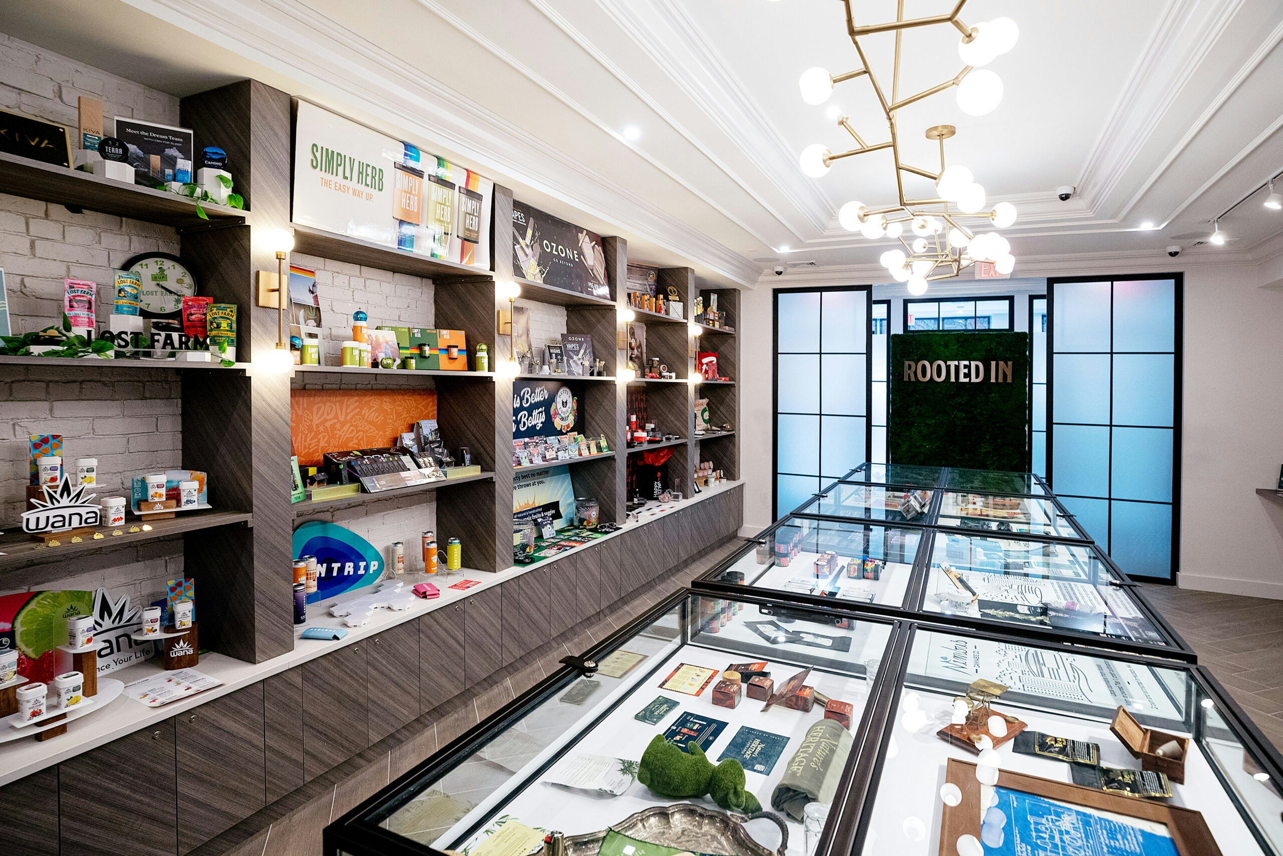 The Best Dispensaries In Boston, MA