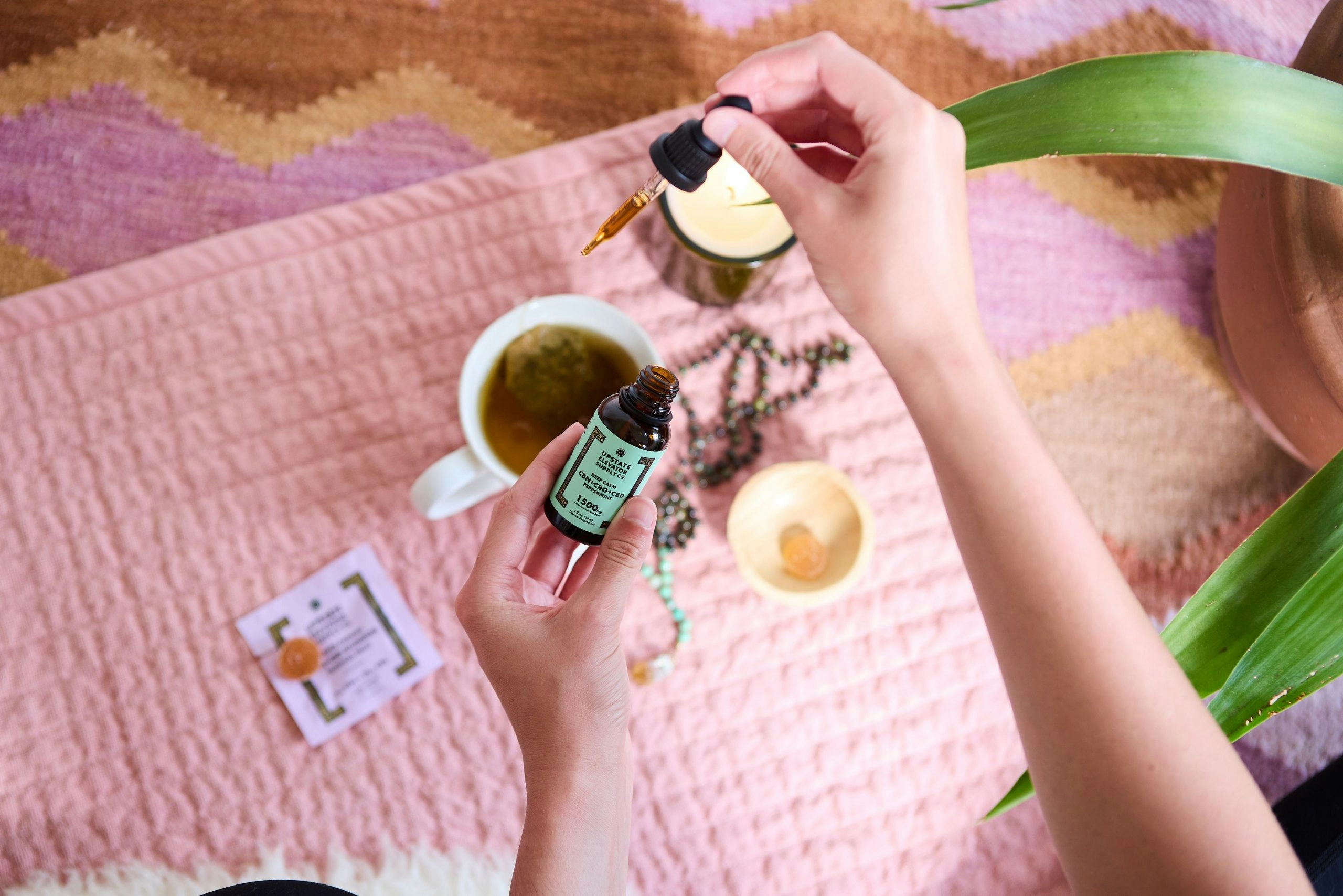 Behind The Brand: Wellness Or Fun Upstate Elevator Has It All