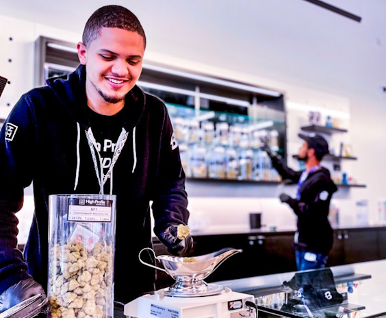 Boston’s Best Cannabis Haven: High Profile X Budega Dispensaries
