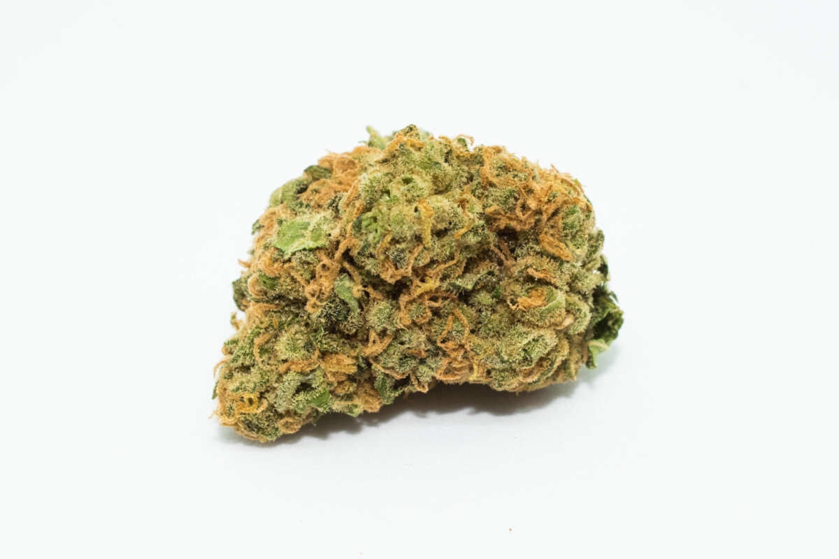 highest pinene strains