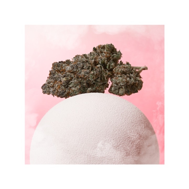 Pink Pixie Hemp Indoor Flower