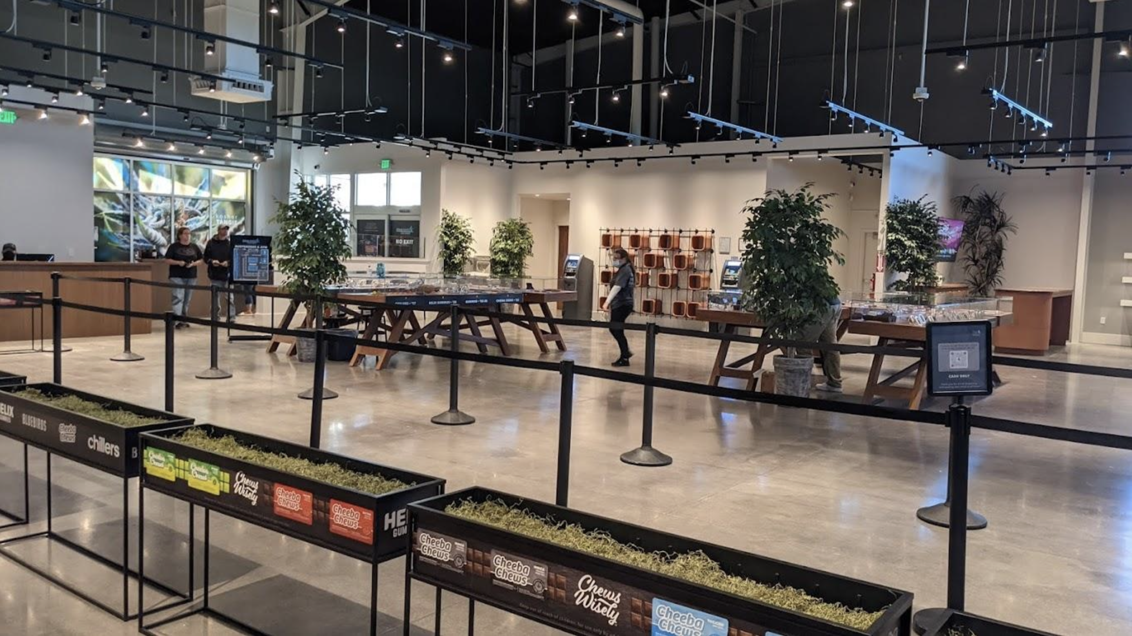 4 Best Dispensaries In Elko, NV