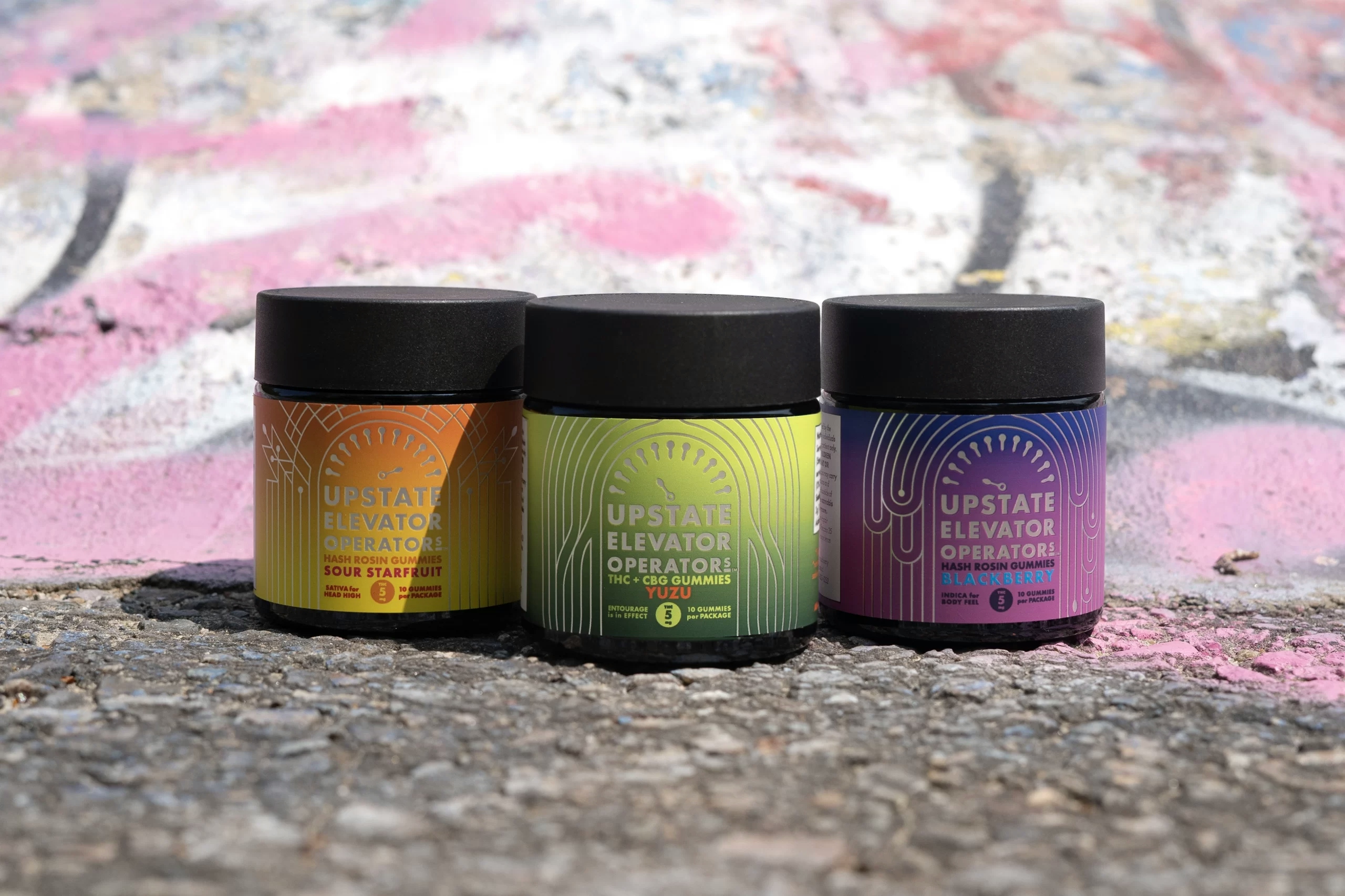 Behind The Brand: Wellness Or Fun Upstate Elevator Has It All