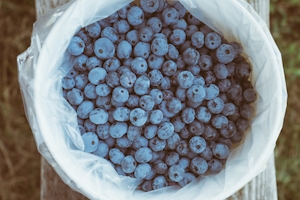 How To Make Blueberry Weed Muffins At Home