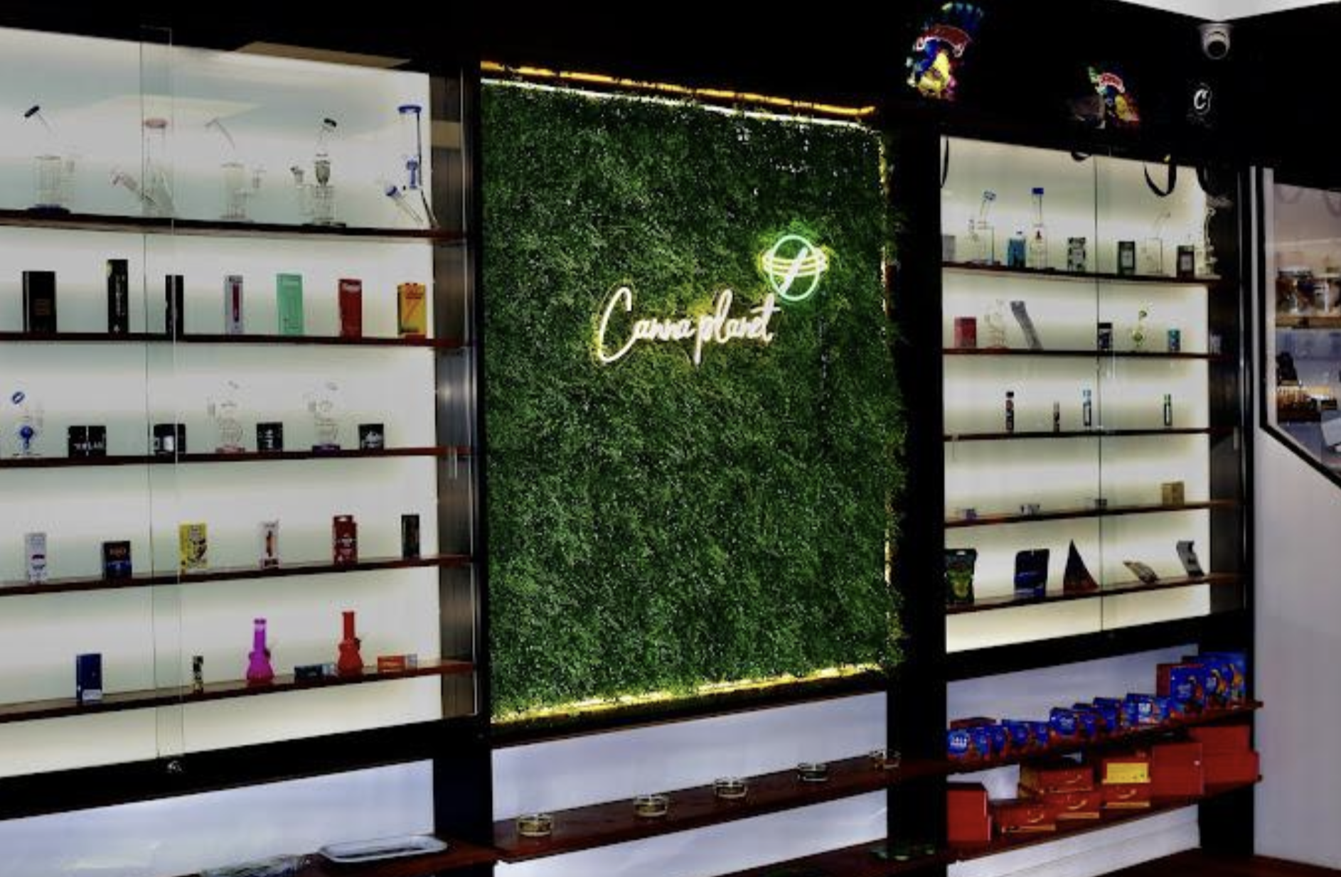 The Best Dispensaries In Queens, NY