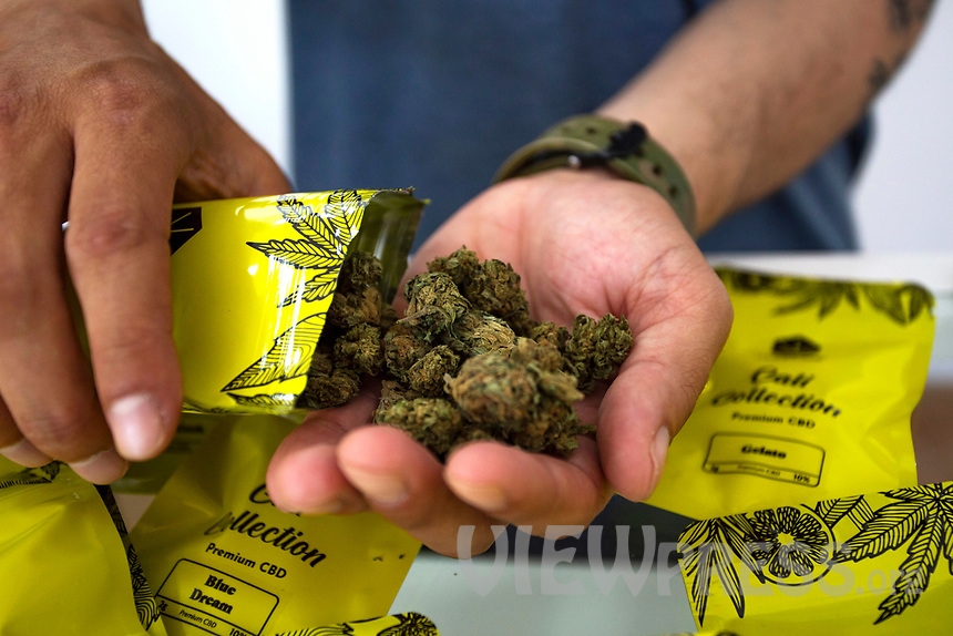 10 Countries With The Best Weed In The World 2024