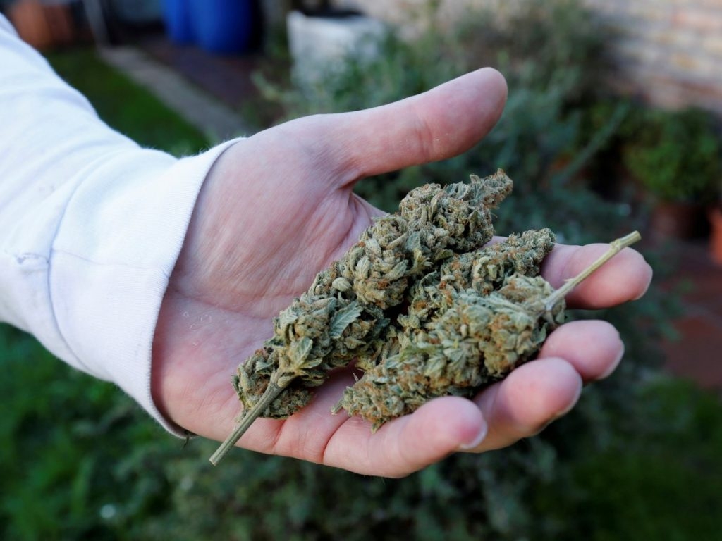 10 Countries With The Best Weed In The World 2024