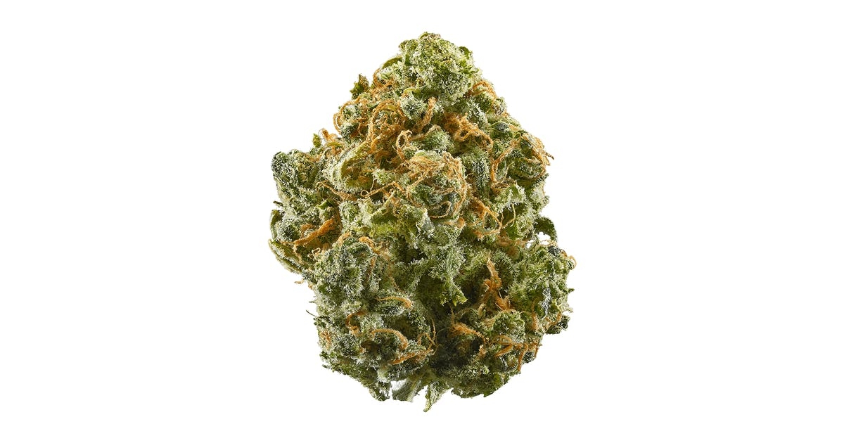 Strains With Highest THCV: 10 Strains To Check Out