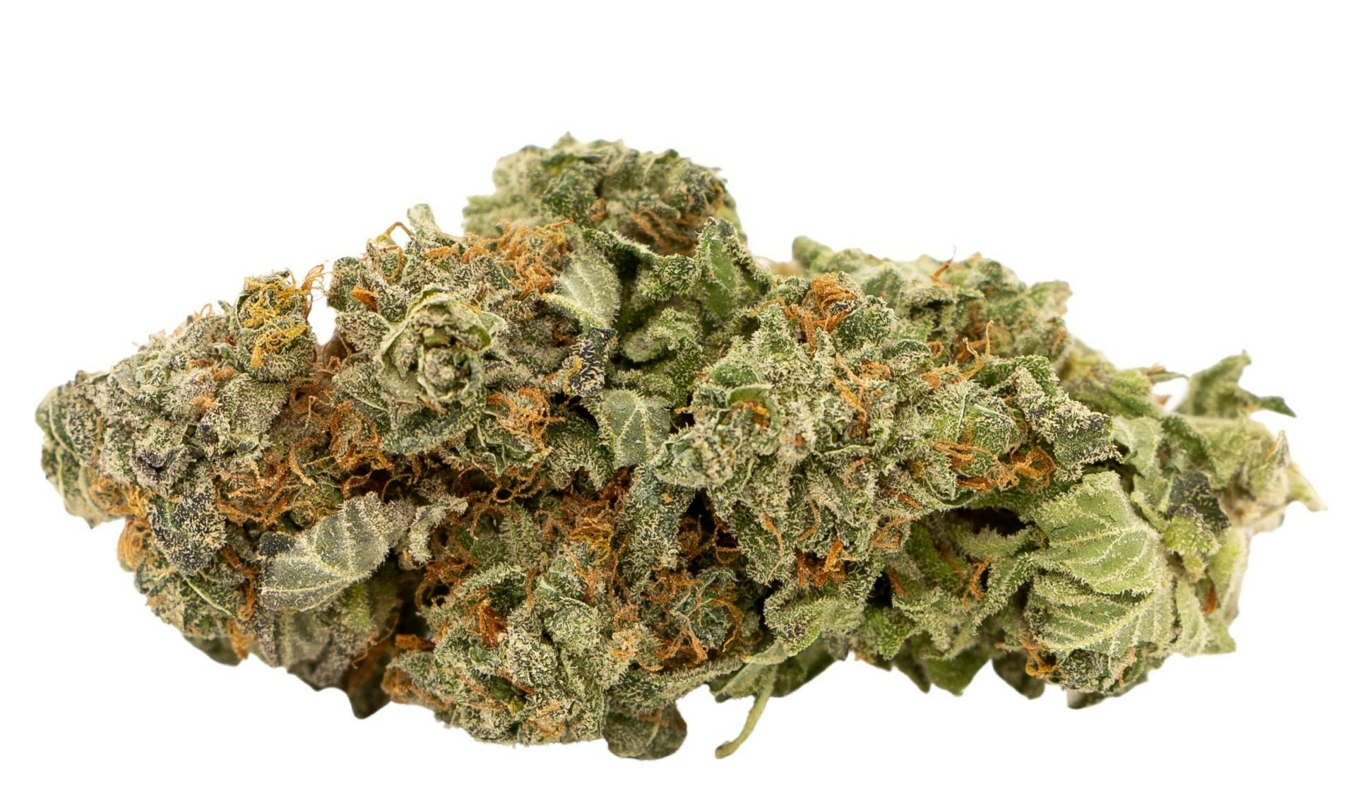 most powerful sativa strains