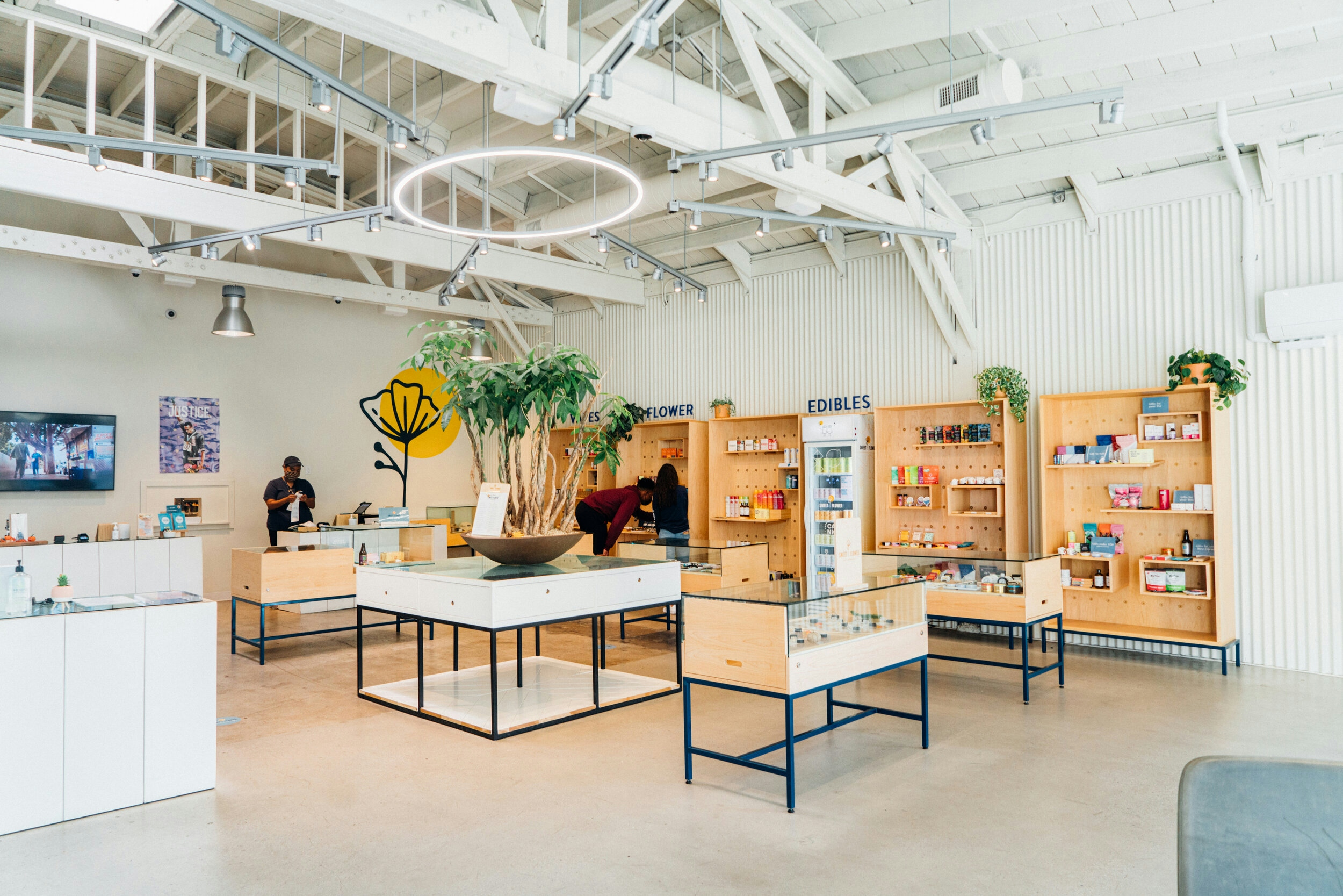 The Best Dispensaries In Ventura, CA