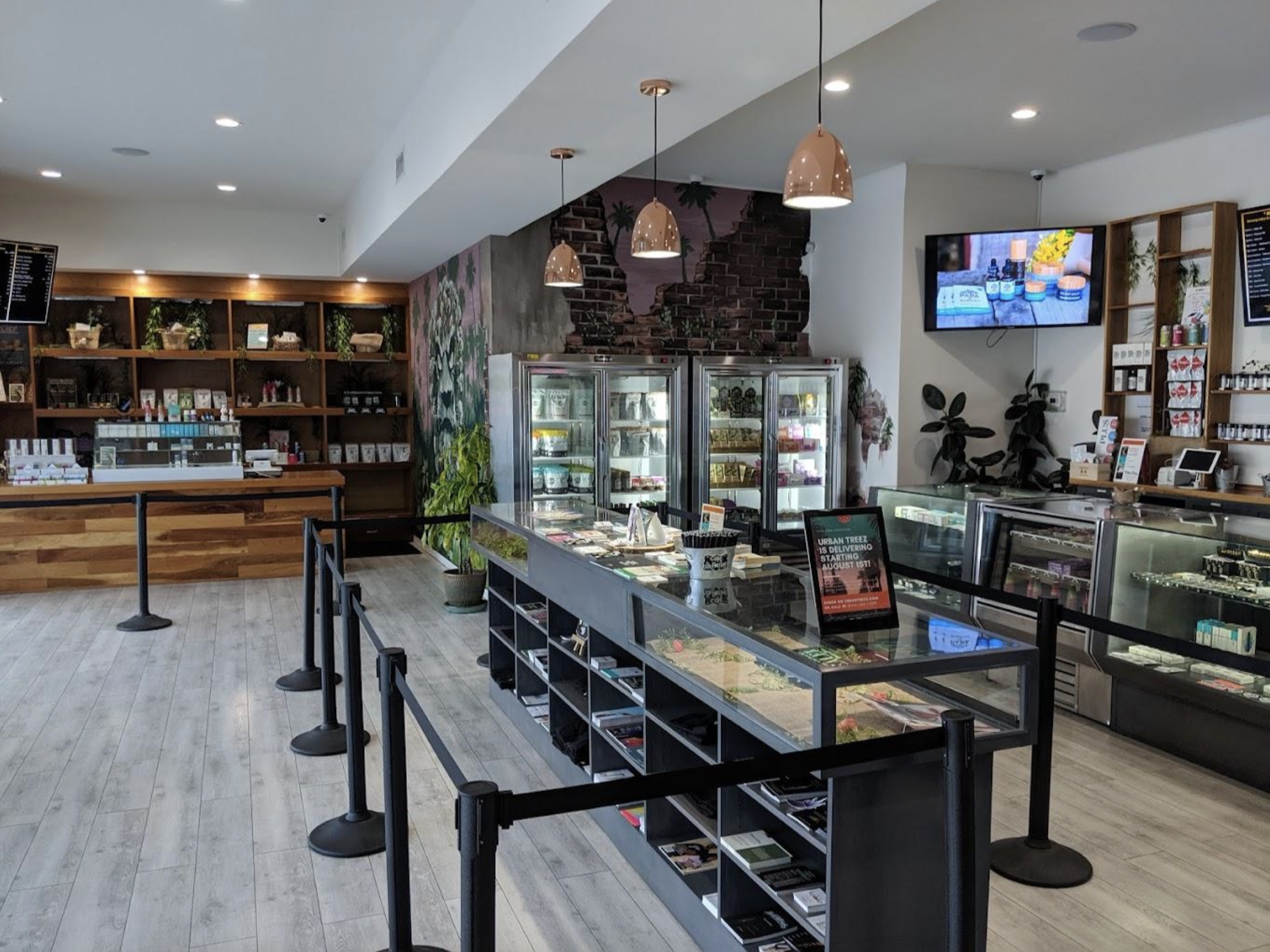 The Best Dispensaries In Ventura, CA