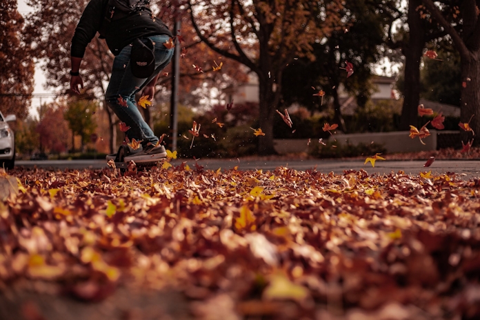 The Best Strains For Fall 2025