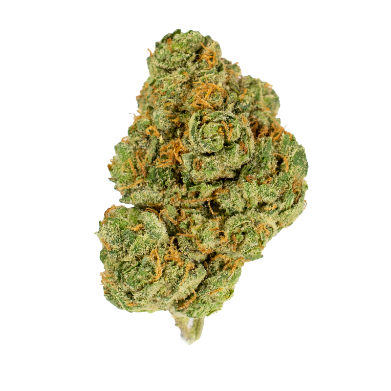 Halloween Harvest: The 10 Scariest Halloween Strains For October