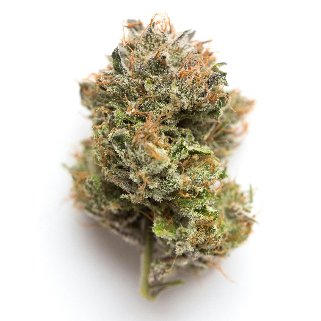 Halloween Harvest: The 10 Scariest Halloween Strains For October