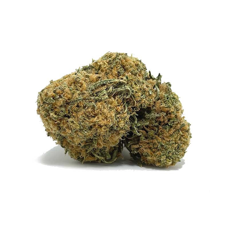 Halloween Harvest: The 10 Scariest Halloween Strains For October