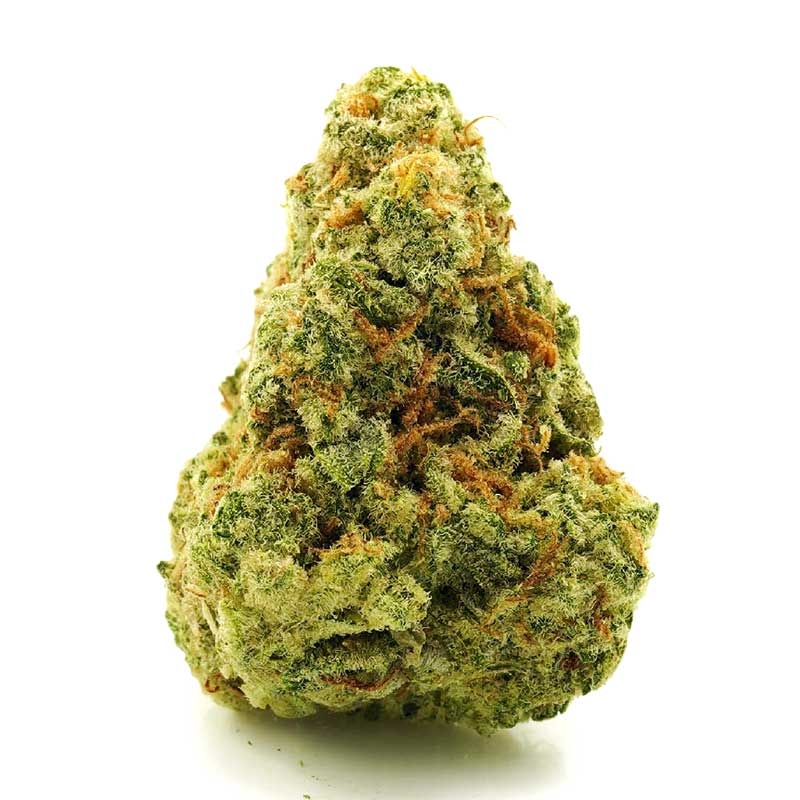 Halloween Harvest: The 10 Scariest Halloween Strains For October