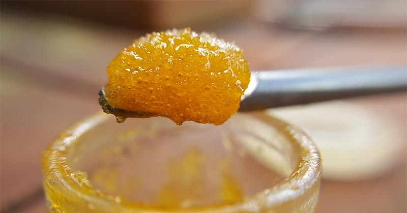 Terp Sauce Vs. Live Resin: What’s The Difference?