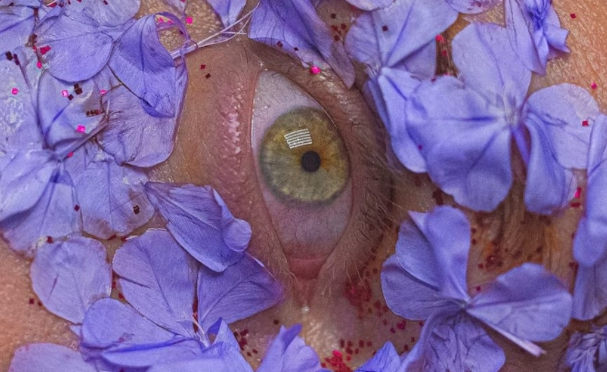 What Is Blue Lotus? Meet The Power Of This Mystic Flower