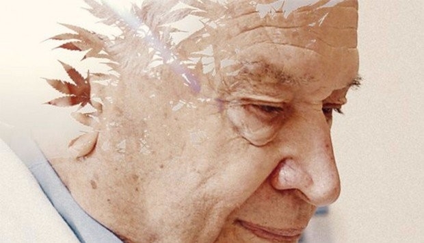 10 Must-See Movies About Growing Weed