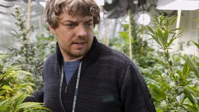 10 Must-See Movies About Growing Weed