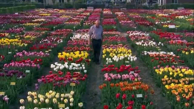 10 Must-See Movies About Growing Weed