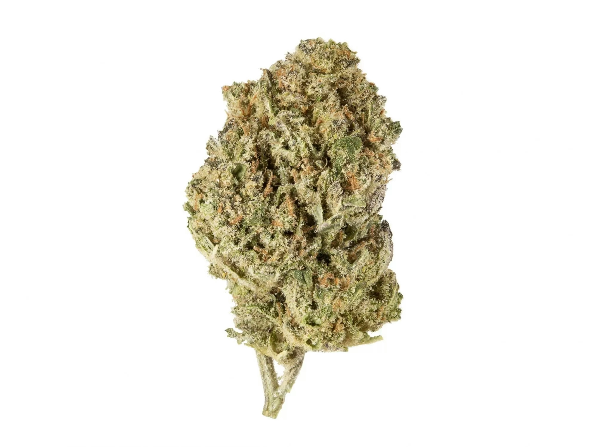 The Best Weed Strains That Won’t Make You Paranoid