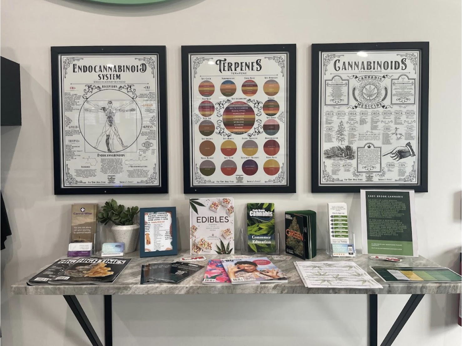 Best Dispensaries In Oxford, MA