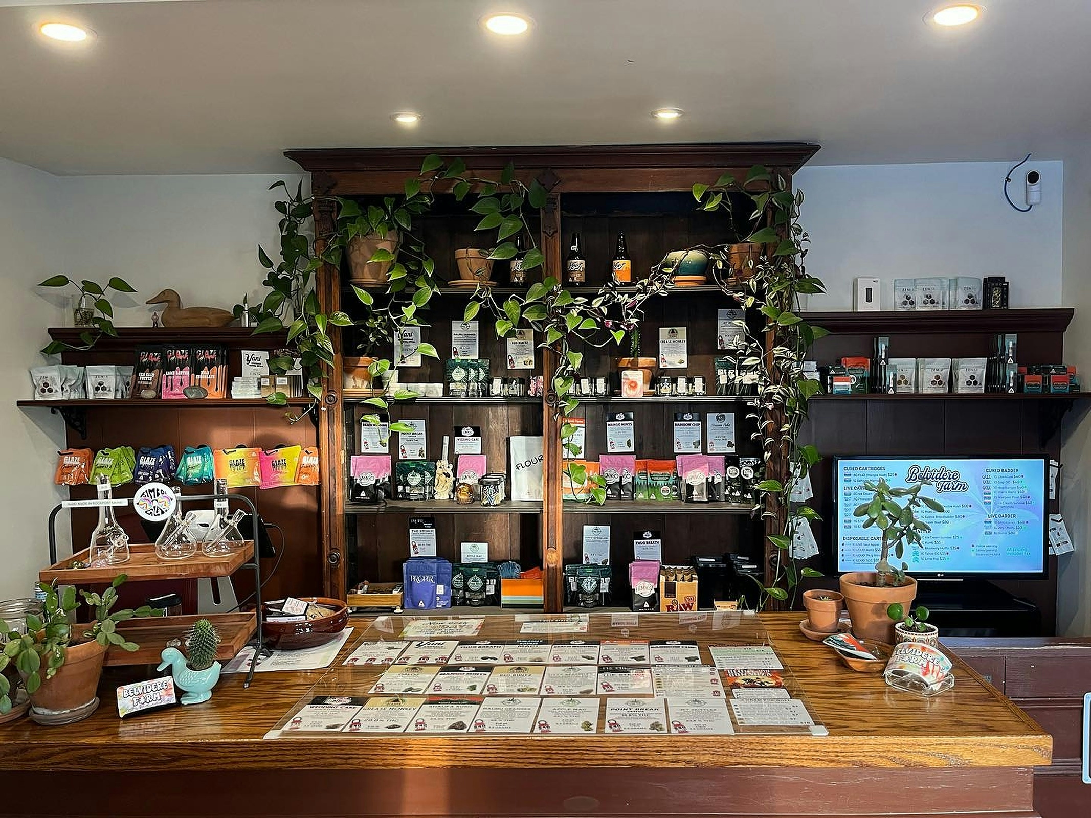 Best Dispensaries In Rockland, ME