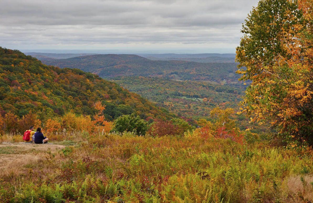Field Trip: Your Guide To The Perfect Baked Trip In Pittsfield, Massachusetts