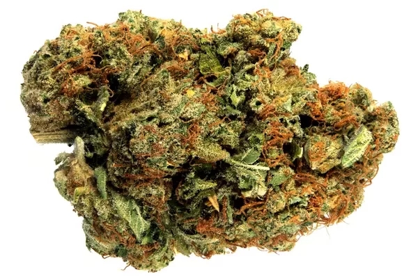 What Is Zaza? Weed Strain Information