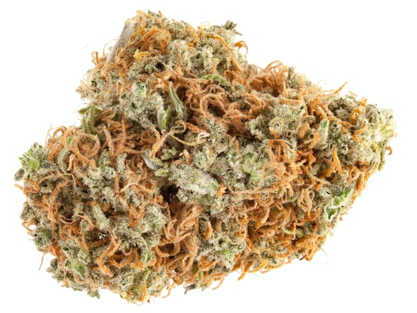 Top 7 Best Orange Strains